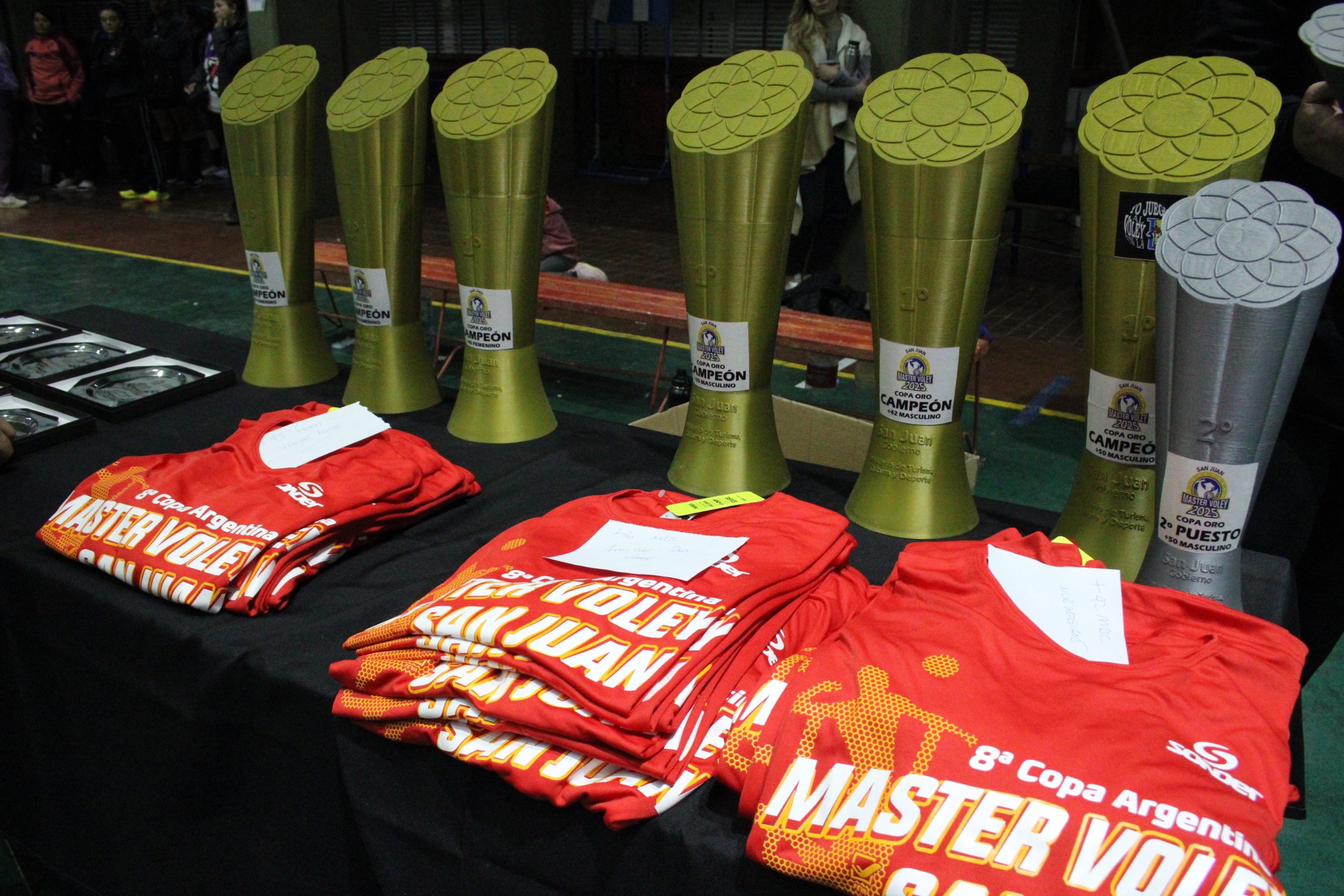 Finalizó una nueva edición de la Copa Argentina de Master Vóley en San Juan