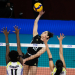 ¡Triunfo de Las Panteras por 3-1 ante Venezuela!